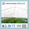 Single Tunnel Sunlight Greenhouse 